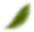 h1-slider4