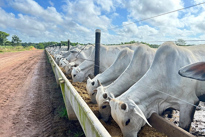 Eco-friendly animal feed manufacturing facility with sustainable packaging – Gokind Pharma